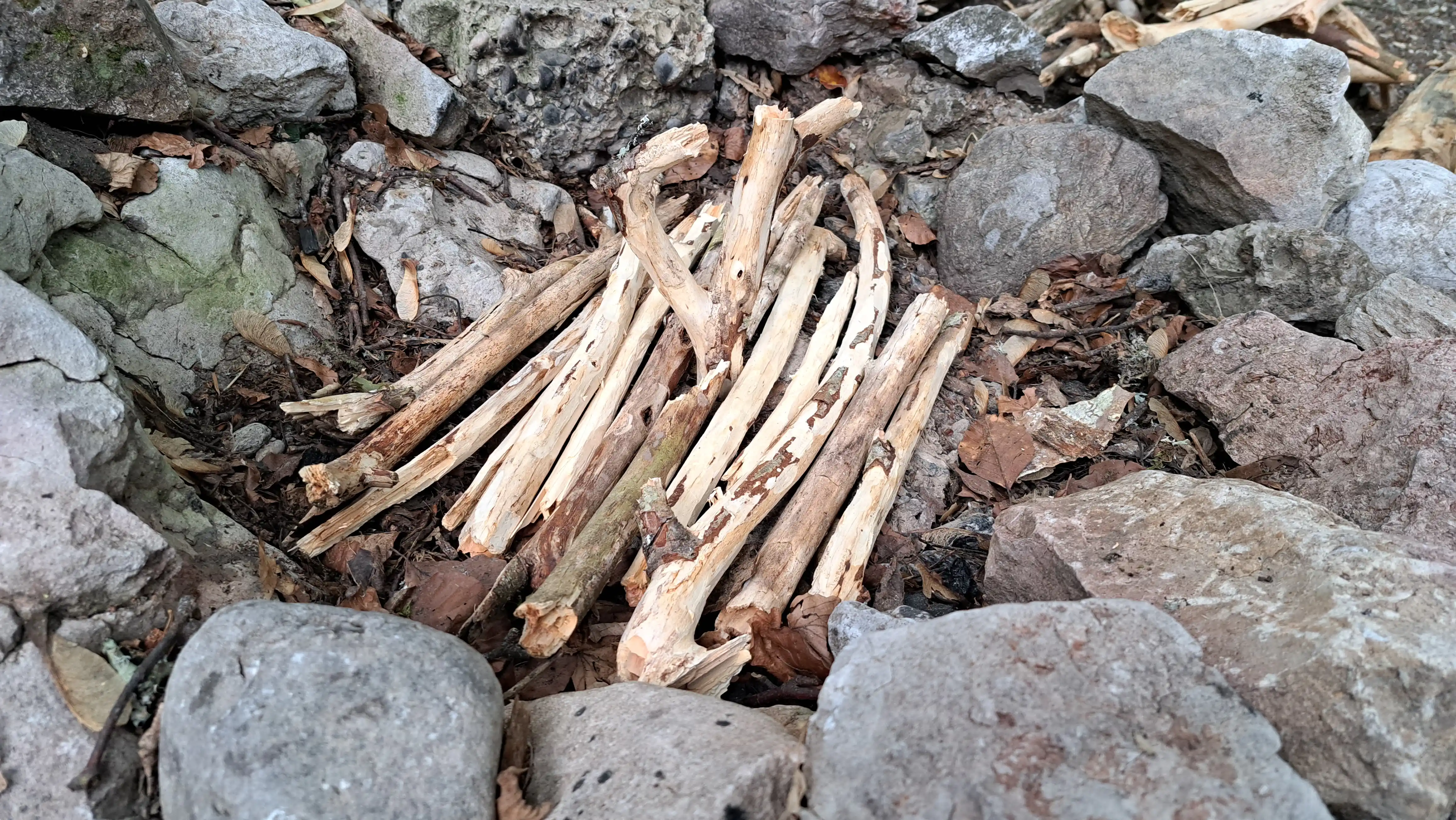 plateforme de bois au milieu du cercle de pierre du foyer