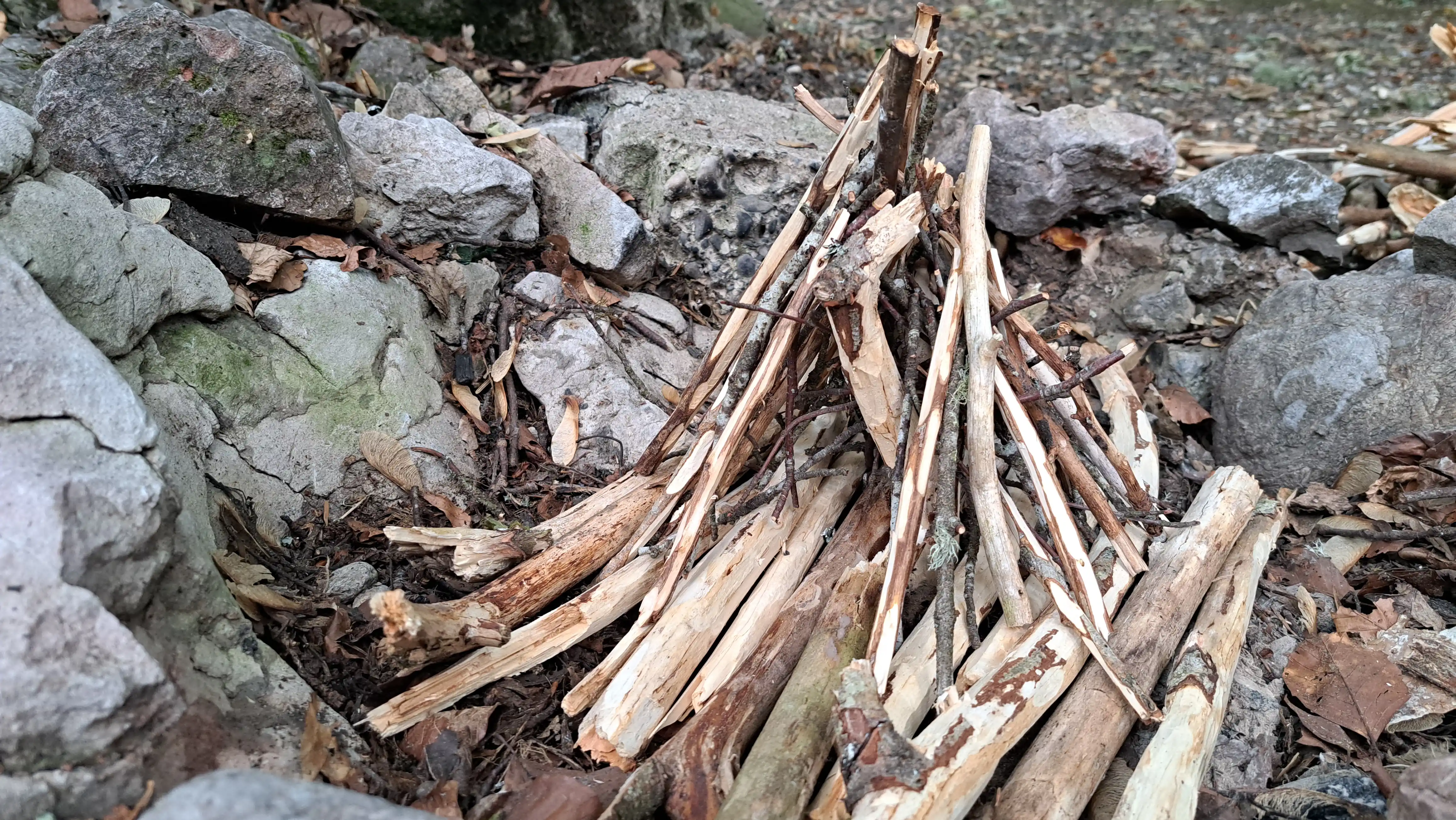 Les branches intermédiaires ont été ajoutées à la structure.