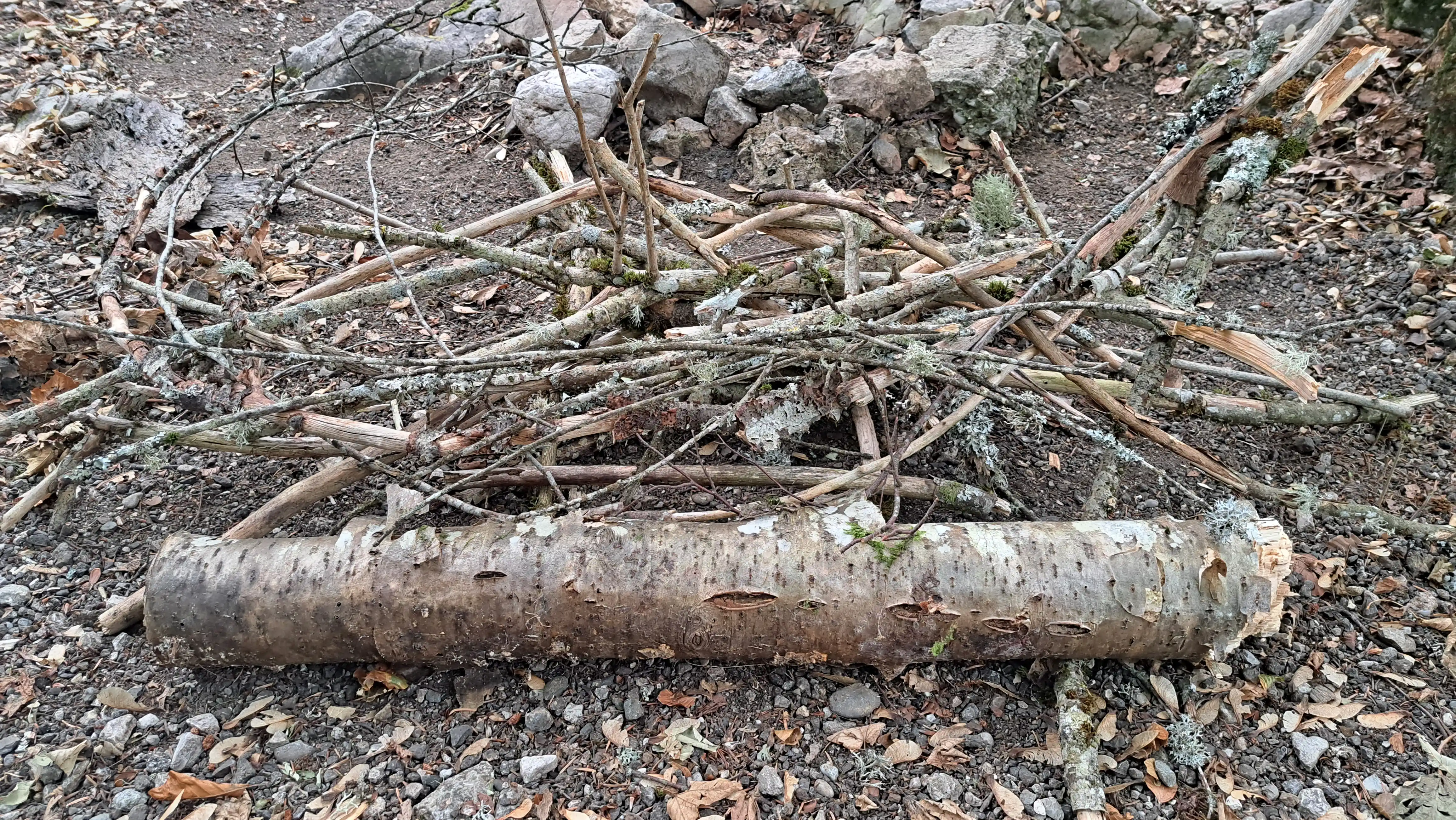 bois sec ramassé dans la forêt, placé à côté du foyer