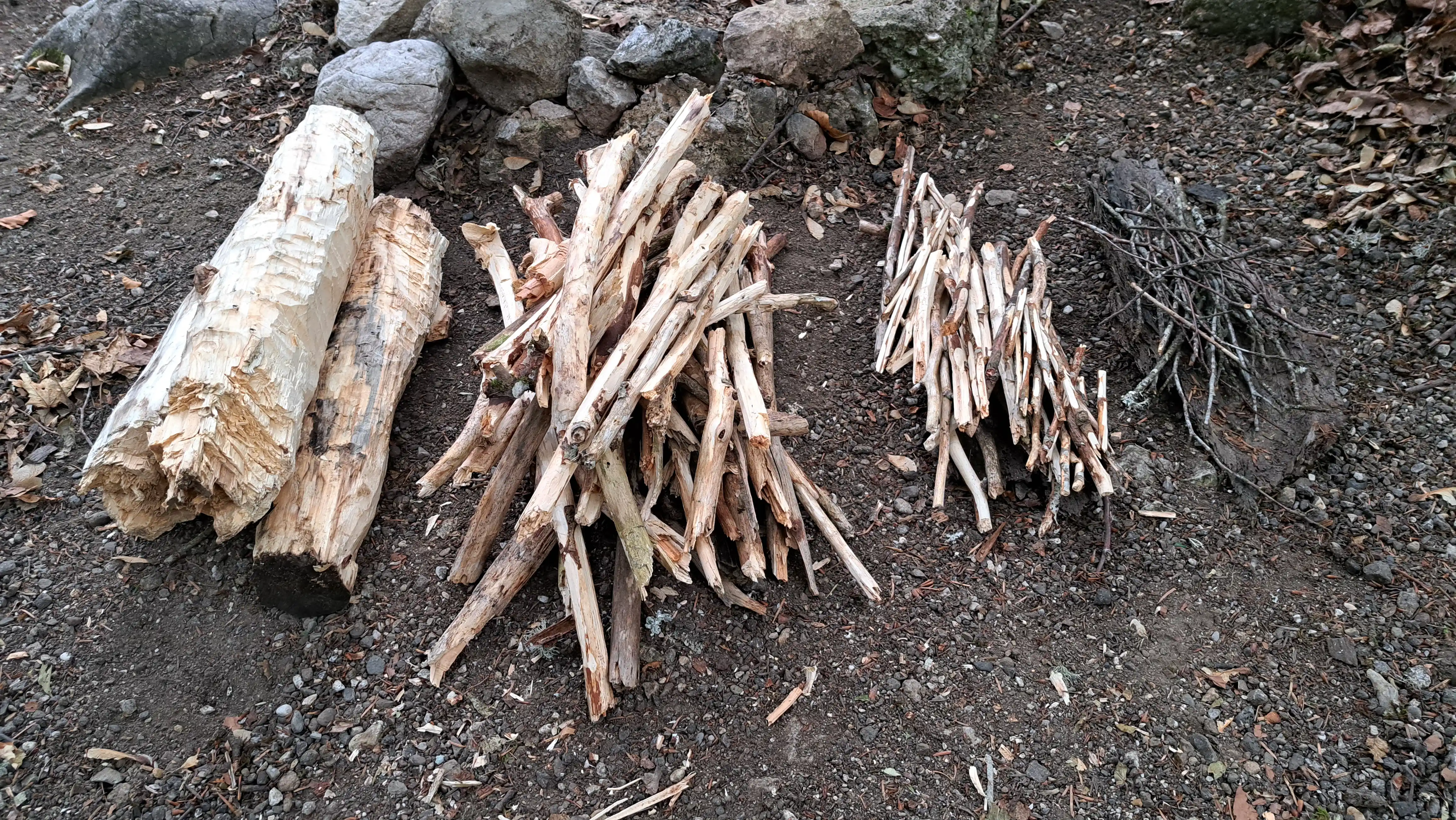 bois sec ramassé dans la forêt, placé à côté du foyer, trié par taille, l'écorce retirée