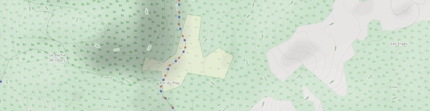 osm rando map screen showing a meadow surrounded by a forest