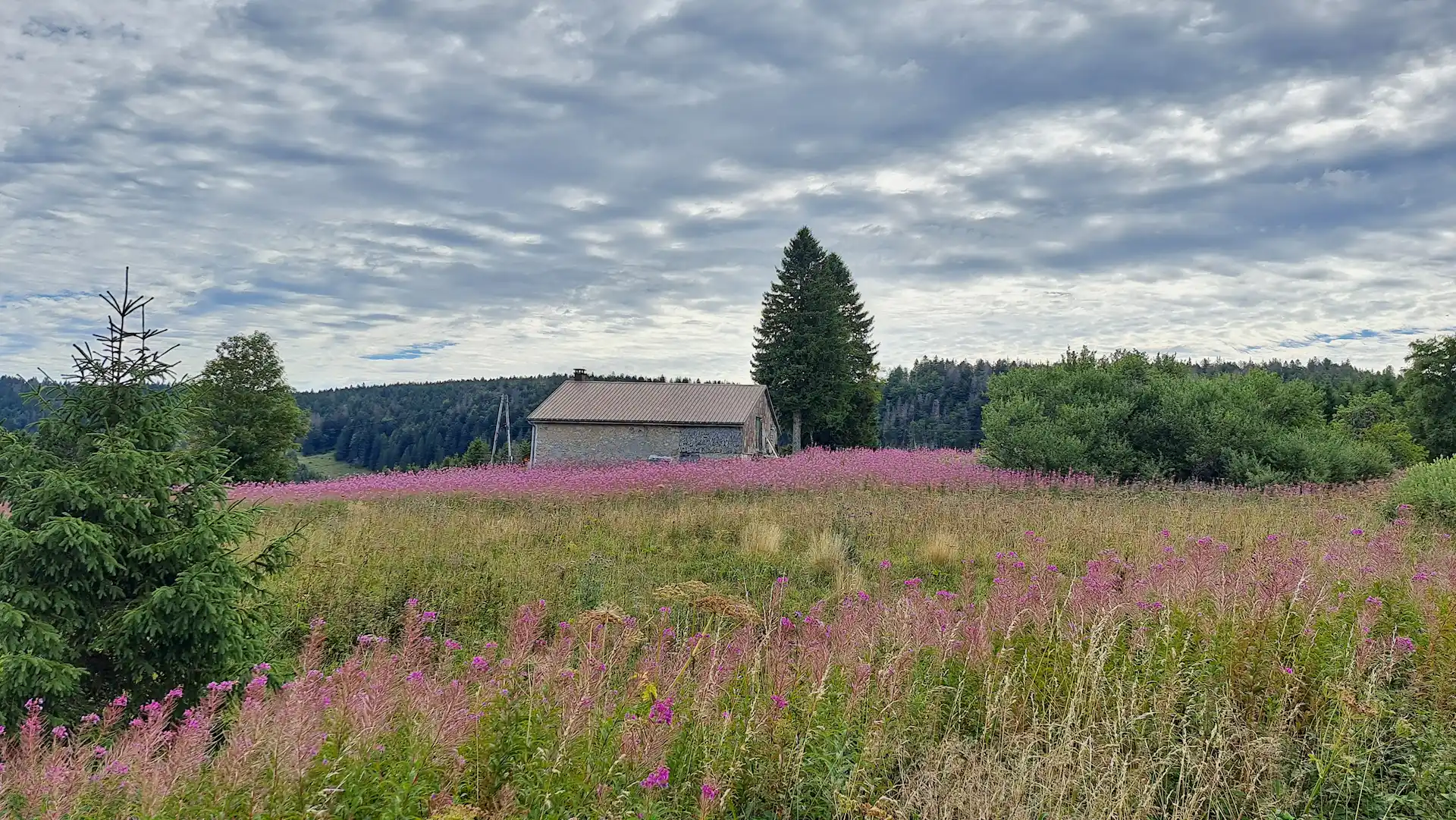 Tour du Haut-Jura Sud